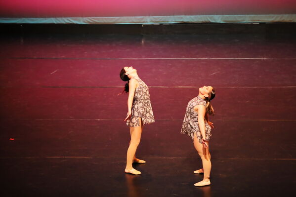 Keywords: Abby_H;Sofia_C