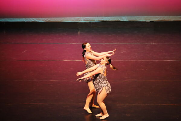 Keywords: Abby_H;Sofia_C