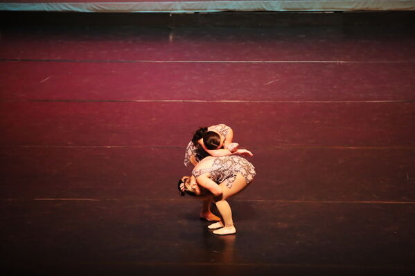 Keywords: Abby_H;Sofia_C