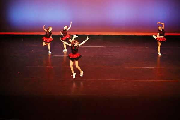 Keywords: Mon_8pm_PC; Lina_D; Kailey_G; Anna_K; Ziva_L; Eva_M