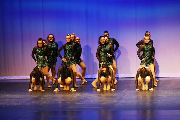 Keywords: Sofia_C;Georgia_C;Elena_F;Payten_G;Abby_H;Lauren_H;Lola_H;Halie_J;Adela_J;Meghan_K;Olivia_K;Rosie_K;Jessica_M;Elizabeth_M;Alex_P;Ella_S