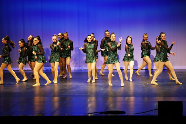 Keywords: Sofia_C;Georgia_C;Elena_F;Payten_G;Abby_H;Lauren_H;Lola_H;Halie_J;Adela_J;Meghan_K;Olivia_K;Rosie_K;Jessica_M;Elizabeth_M;Alex_P;Ella_S