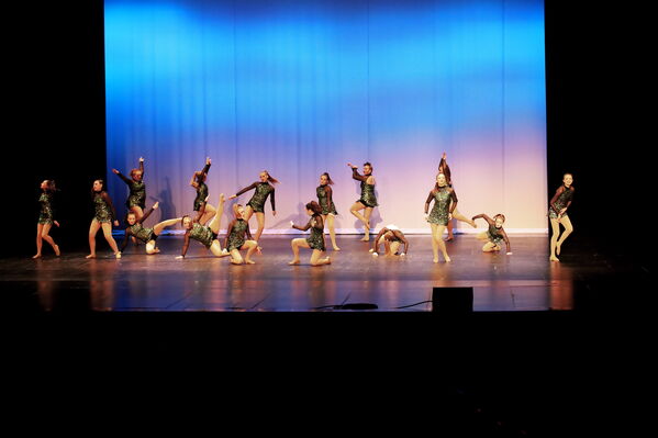 Keywords: Sofia_C;Georgia_C;Elena_F;Payten_G;Abby_H;Lauren_H;Lola_H;Halie_J;Adela_J;Meghan_K;Olivia_K;Rosie_K;Jessica_M;Elizabeth_M;Alex_P;Ella_S