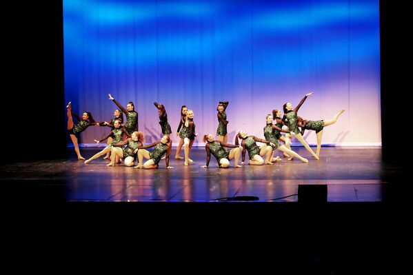 Keywords: Sofia_C;Georgia_C;Elena_F;Payten_G;Abby_H;Lauren_H;Lola_H;Halie_J;Adela_J;Meghan_K;Olivia_K;Rosie_K;Jessica_M;Elizabeth_M;Alex_P;Ella_S