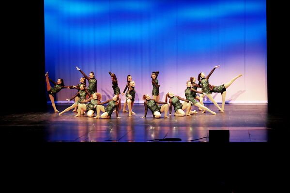 Keywords: Sofia_C;Georgia_C;Elena_F;Payten_G;Abby_H;Lauren_H;Lola_H;Halie_J;Adela_J;Meghan_K;Olivia_K;Rosie_K;Jessica_M;Elizabeth_M;Alex_P;Ella_S