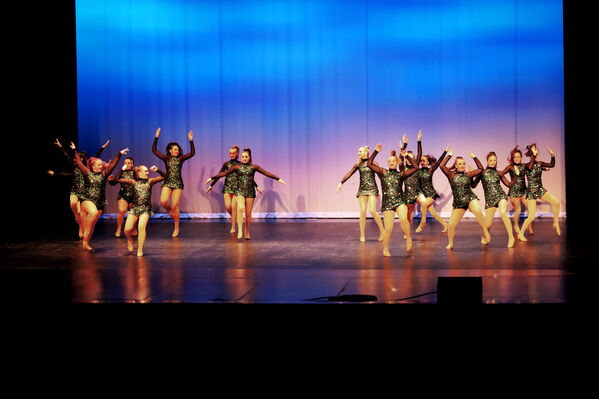 Keywords: Sofia_C;Georgia_C;Elena_F;Payten_G;Abby_H;Lauren_H;Lola_H;Halie_J;Adela_J;Meghan_K;Olivia_K;Rosie_K;Jessica_M;Elizabeth_M;Alex_P;Ella_S