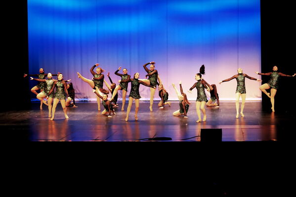 Keywords: Sofia_C;Georgia_C;Elena_F;Payten_G;Abby_H;Lauren_H;Lola_H;Halie_J;Adela_J;Meghan_K;Olivia_K;Rosie_K;Jessica_M;Elizabeth_M;Alex_P;Ella_S