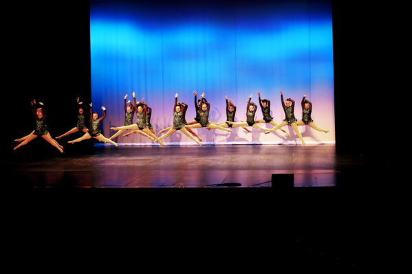 Keywords: Sofia_C;Georgia_C;Elena_F;Payten_G;Abby_H;Lauren_H;Lola_H;Halie_J;Adela_J;Meghan_K;Olivia_K;Rosie_K;Jessica_M;Elizabeth_M;Alex_P;Ella_S