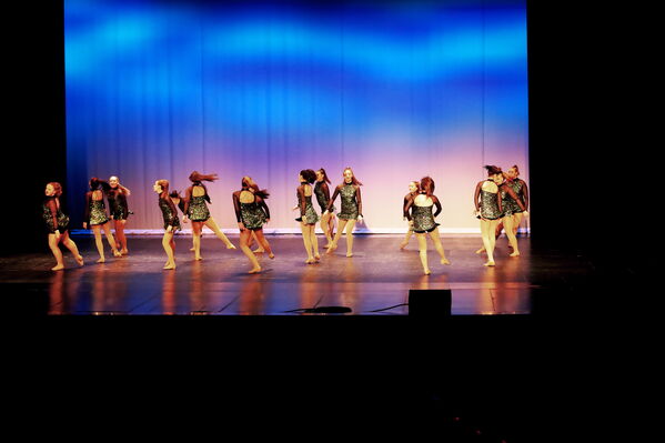 Keywords: Sofia_C;Georgia_C;Elena_F;Payten_G;Abby_H;Lauren_H;Lola_H;Halie_J;Adela_J;Meghan_K;Olivia_K;Rosie_K;Jessica_M;Elizabeth_M;Alex_P;Ella_S