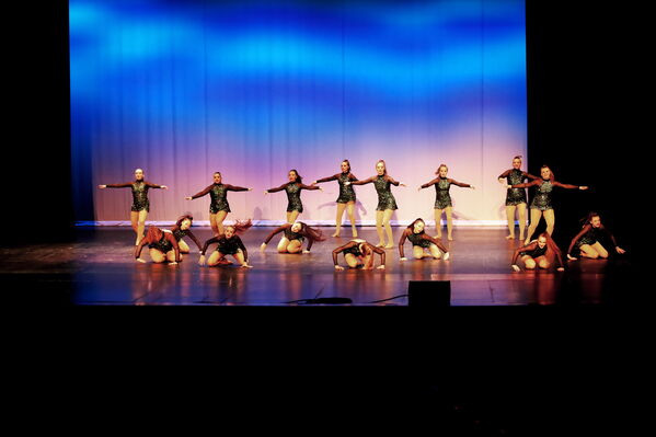 Keywords: Sofia_C;Georgia_C;Elena_F;Payten_G;Abby_H;Lauren_H;Lola_H;Halie_J;Adela_J;Meghan_K;Olivia_K;Rosie_K;Jessica_M;Elizabeth_M;Alex_P;Ella_S