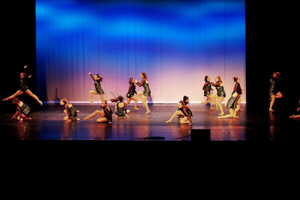 Keywords: Sofia_C;Georgia_C;Elena_F;Payten_G;Abby_H;Lauren_H;Lola_H;Halie_J;Adela_J;Meghan_K;Olivia_K;Rosie_K;Jessica_M;Elizabeth_M;Alex_P;Ella_S