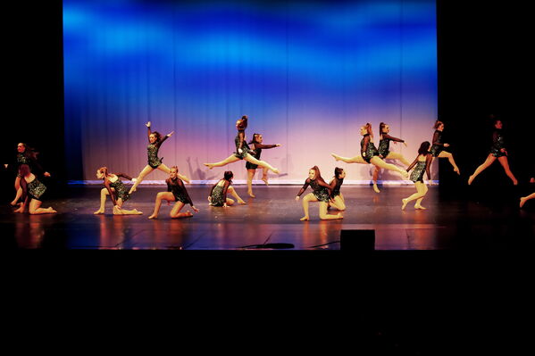 Keywords: Sofia_C;Georgia_C;Elena_F;Payten_G;Abby_H;Lauren_H;Lola_H;Halie_J;Adela_J;Meghan_K;Olivia_K;Rosie_K;Jessica_M;Elizabeth_M;Alex_P;Ella_S