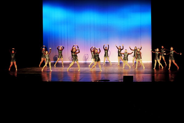 Keywords: Sofia_C;Georgia_C;Elena_F;Payten_G;Abby_H;Lauren_H;Lola_H;Halie_J;Adela_J;Meghan_K;Olivia_K;Rosie_K;Jessica_M;Elizabeth_M;Alex_P;Ella_S