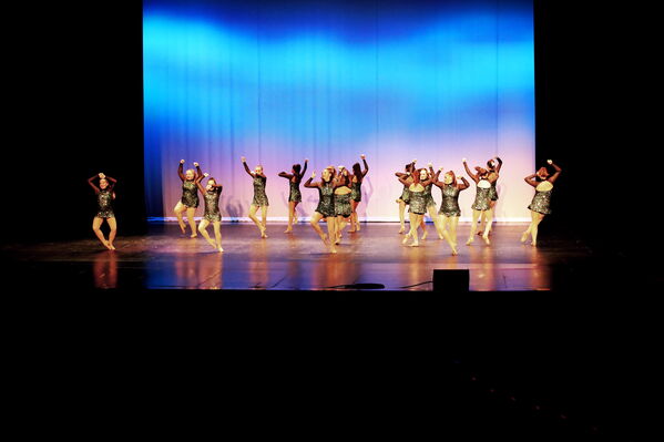 Keywords: Sofia_C;Georgia_C;Elena_F;Payten_G;Abby_H;Lauren_H;Lola_H;Halie_J;Adela_J;Meghan_K;Olivia_K;Rosie_K;Jessica_M;Elizabeth_M;Alex_P;Ella_S