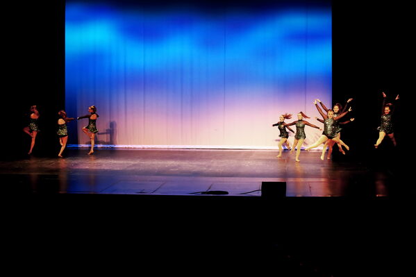 Keywords: Sofia_C;Georgia_C;Elena_F;Payten_G;Abby_H;Lauren_H;Lola_H;Halie_J;Adela_J;Meghan_K;Olivia_K;Rosie_K;Jessica_M;Elizabeth_M;Alex_P;Ella_S