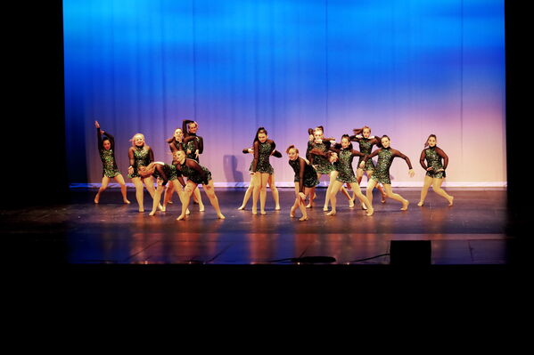 Keywords: Sofia_C;Georgia_C;Elena_F;Payten_G;Abby_H;Lauren_H;Lola_H;Halie_J;Adela_J;Meghan_K;Olivia_K;Rosie_K;Jessica_M;Elizabeth_M;Alex_P;Ella_S