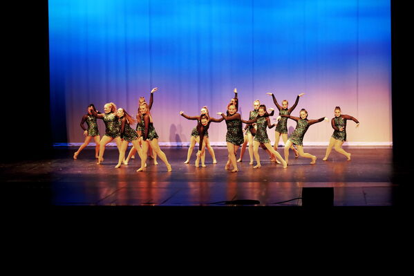 Keywords: Sofia_C;Georgia_C;Elena_F;Payten_G;Abby_H;Lauren_H;Lola_H;Halie_J;Adela_J;Meghan_K;Olivia_K;Rosie_K;Jessica_M;Elizabeth_M;Alex_P;Ella_S