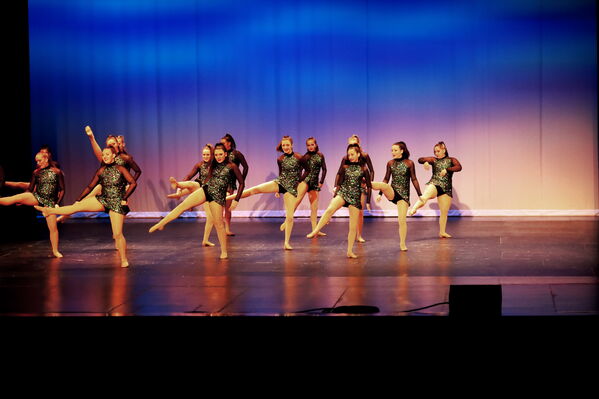 Keywords: Sofia_C;Georgia_C;Elena_F;Payten_G;Abby_H;Lauren_H;Lola_H;Halie_J;Adela_J;Meghan_K;Olivia_K;Rosie_K;Jessica_M;Elizabeth_M;Alex_P;Ella_S