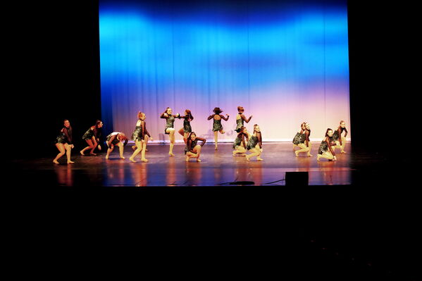 Keywords: Sofia_C;Georgia_C;Elena_F;Payten_G;Abby_H;Lauren_H;Lola_H;Halie_J;Adela_J;Meghan_K;Olivia_K;Rosie_K;Jessica_M;Elizabeth_M;Alex_P;Ella_S