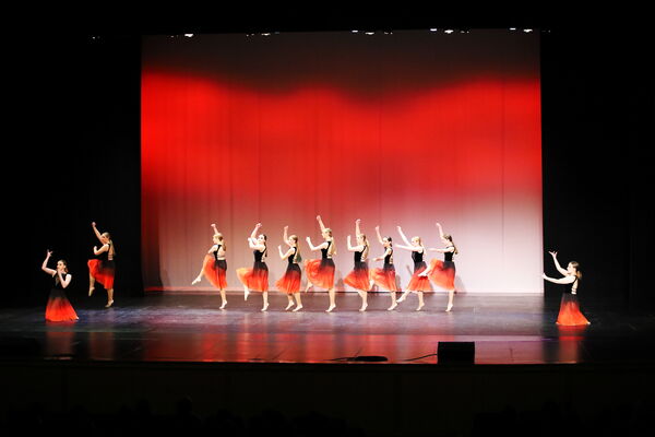 Keywords: Madalyn_C;Makayle_C;Lillyana_G;Abbie_K;Brandi_M;Brooklyn_M;Julia_N;Grace_O;Hailey_P;Cheyenne_S;Alicia_S;Adeline_S