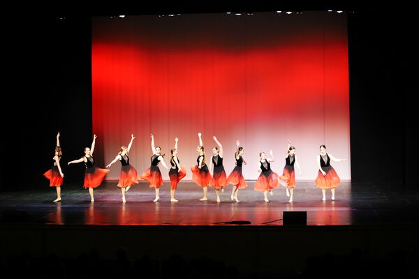 Keywords: Madalyn_C;Makayle_C;Lillyana_G;Abbie_K;Brandi_M;Brooklyn_M;Julia_N;Grace_O;Hailey_P;Cheyenne_S;Alicia_S;Adeline_S