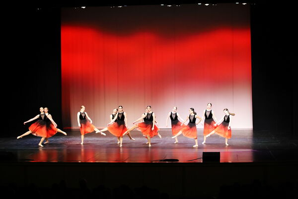 Keywords: Madalyn_C;Makayle_C;Lillyana_G;Abbie_K;Brandi_M;Brooklyn_M;Julia_N;Grace_O;Hailey_P;Cheyenne_S;Alicia_S;Adeline_S