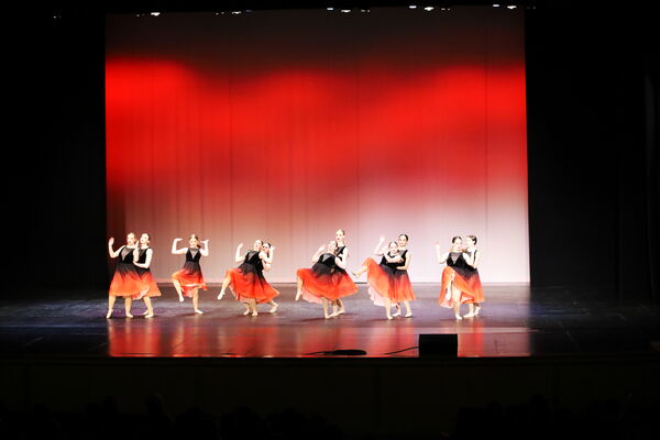 Keywords: Madalyn_C;Makayle_C;Lillyana_G;Abbie_K;Brandi_M;Brooklyn_M;Julia_N;Grace_O;Hailey_P;Cheyenne_S;Alicia_S;Adeline_S