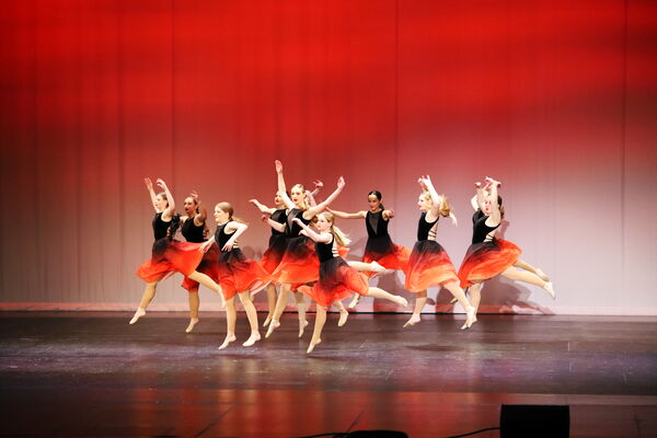 Keywords: Madalyn_C;Makayle_C;Lillyana_G;Abbie_K;Brandi_M;Brooklyn_M;Julia_N;Grace_O;Hailey_P;Cheyenne_S;Alicia_S;Adeline_S