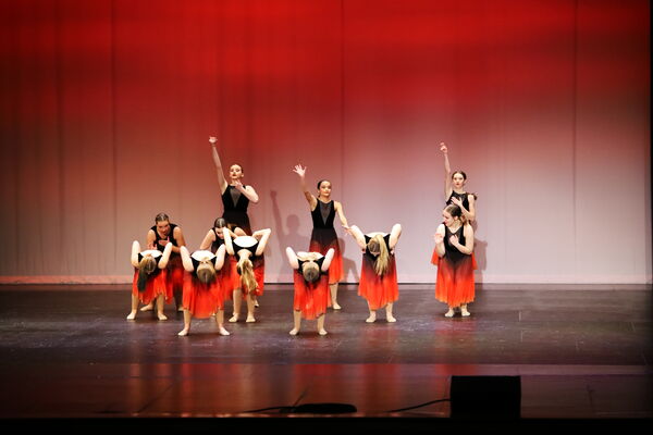 Keywords: Madalyn_C;Makayle_C;Lillyana_G;Abbie_K;Brandi_M;Brooklyn_M;Julia_N;Grace_O;Hailey_P;Cheyenne_S;Alicia_S;Adeline_S