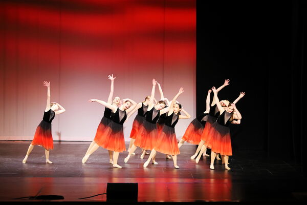 Keywords: Madalyn_C;Makayle_C;Lillyana_G;Abbie_K;Brandi_M;Brooklyn_M;Julia_N;Grace_O;Hailey_P;Cheyenne_S;Alicia_S;Adeline_S