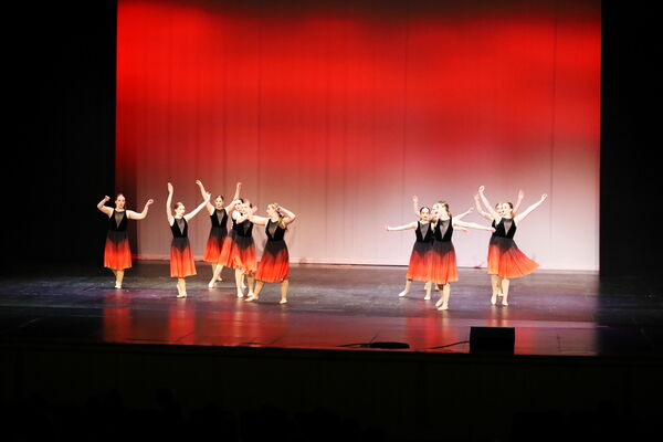 Keywords: Madalyn_C;Makayle_C;Lillyana_G;Abbie_K;Brandi_M;Brooklyn_M;Julia_N;Grace_O;Hailey_P;Cheyenne_S;Alicia_S;Adeline_S