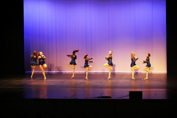 Keywords: Evelyn_C;Lauren_D;Lauren_F;Molly_G;Sydney_K;Erin_K;Nora_R