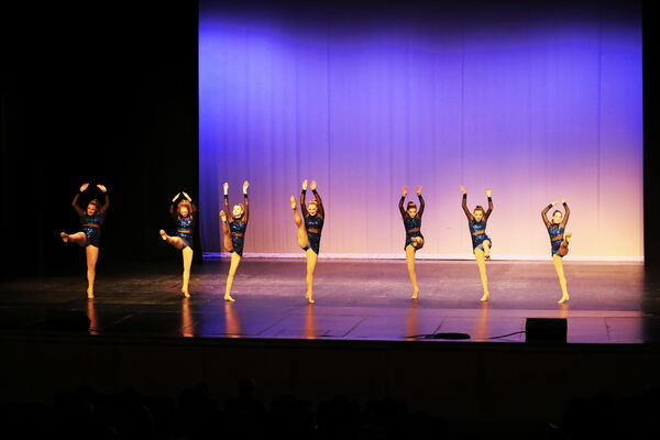 Keywords: Evelyn_C;Lauren_D;Lauren_F;Molly_G;Sydney_K;Erin_K;Nora_R