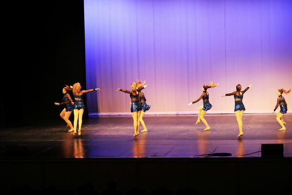 Keywords: Evelyn_C;Lauren_D;Lauren_F;Molly_G;Sydney_K;Erin_K;Nora_R