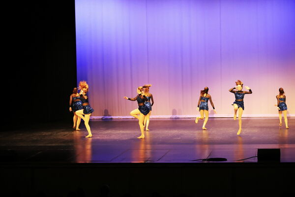 Keywords: Evelyn_C;Lauren_D;Lauren_F;Molly_G;Sydney_K;Erin_K;Nora_R