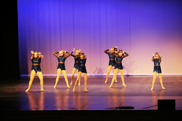 Keywords: Evelyn_C;Lauren_D;Lauren_F;Molly_G;Sydney_K;Erin_K;Nora_R