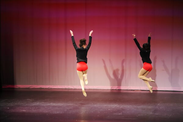 Keywords: Ella_S;Lola_H