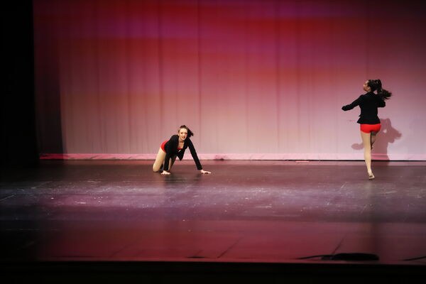 Keywords: Ella_S;Lola_H