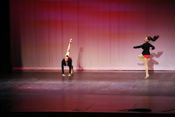 Keywords: Ella_S;Lola_H