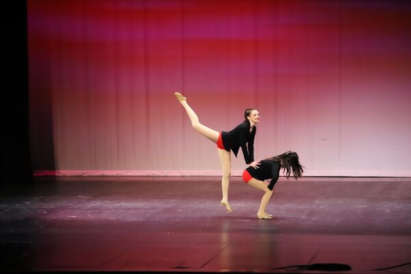 Keywords: Ella_S;Lola_H