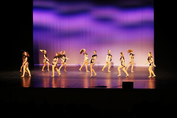 Keywords: Madalyn_C;Makayle_C;Lillyana_G;Abbie_K;Brandi_M;Brooklyn_M;Julia_N;Grace_O;Hailey_P;Cheyenne_S;Alicia_S;Adeline_S