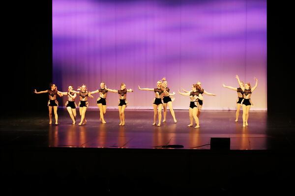 Keywords: Madalyn_C;Makayle_C;Lillyana_G;Abbie_K;Brandi_M;Brooklyn_M;Julia_N;Grace_O;Hailey_P;Cheyenne_S;Alicia_S;Adeline_S