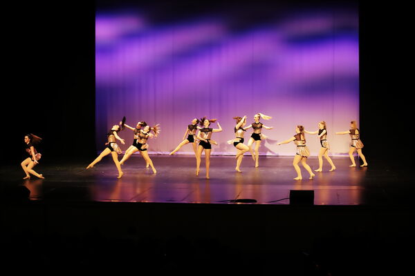 Keywords: Madalyn_C;Makayle_C;Lillyana_G;Abbie_K;Brandi_M;Brooklyn_M;Julia_N;Grace_O;Hailey_P;Cheyenne_S;Alicia_S;Adeline_S