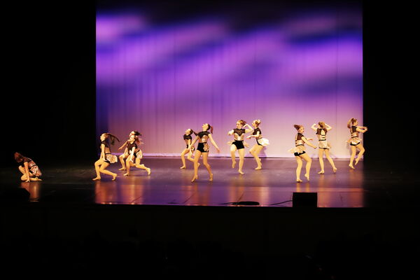 Keywords: Madalyn_C;Makayle_C;Lillyana_G;Abbie_K;Brandi_M;Brooklyn_M;Julia_N;Grace_O;Hailey_P;Cheyenne_S;Alicia_S;Adeline_S