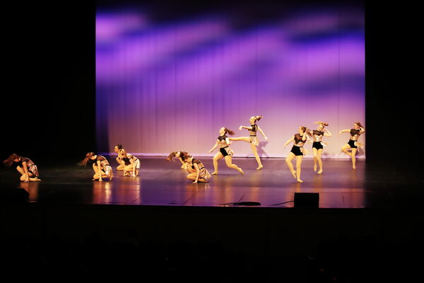 Keywords: Madalyn_C;Makayle_C;Lillyana_G;Abbie_K;Brandi_M;Brooklyn_M;Julia_N;Grace_O;Hailey_P;Cheyenne_S;Alicia_S;Adeline_S