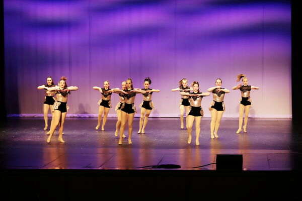 Keywords: Madalyn_C;Makayle_C;Lillyana_G;Abbie_K;Brandi_M;Brooklyn_M;Julia_N;Grace_O;Hailey_P;Cheyenne_S;Alicia_S;Adeline_S