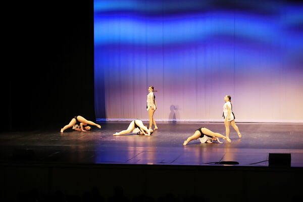 Keywords: Sofia_C;Katelyn_L;Elizabeth_M;Ashley_S;Taylor_S