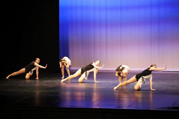 Keywords: Sofia_C;Katelyn_L;Elizabeth_M;Ashley_S;Taylor_S