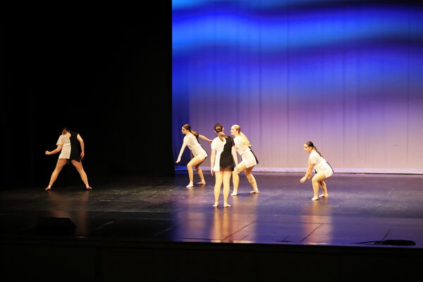 Keywords: Sofia_C;Katelyn_L;Elizabeth_M;Ashley_S;Taylor_S