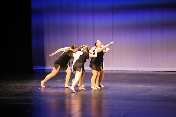 Keywords: Sofia_C;Katelyn_L;Elizabeth_M;Ashley_S;Taylor_S